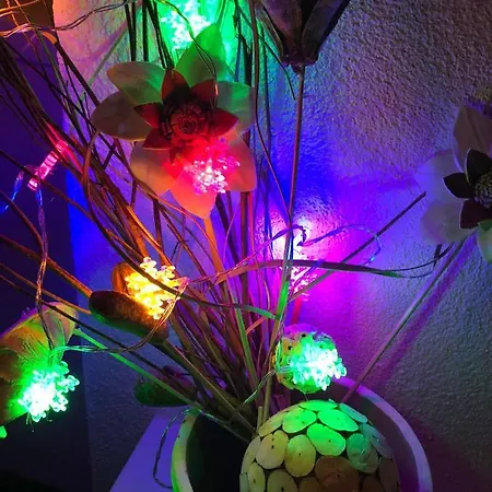 Daire Antwerp Appartments