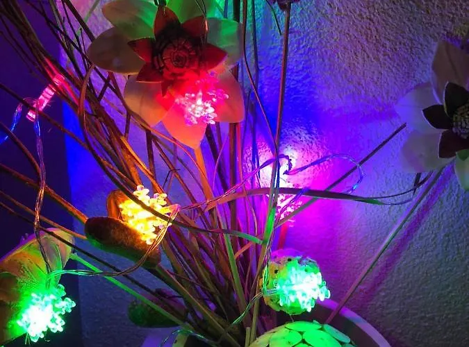 Lejlighed Antwerp Appartments